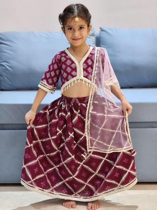 Jaal Buta  Print wine Colour lehenga Choli