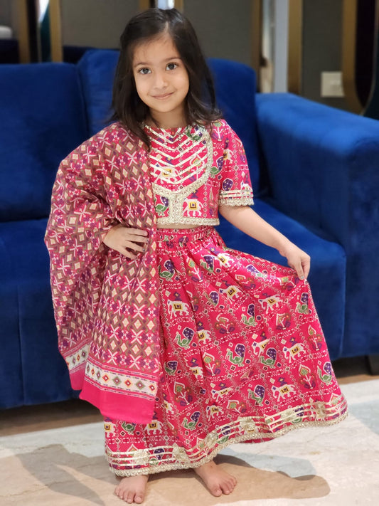 Patola Print Pink Colour Lehenga Choli